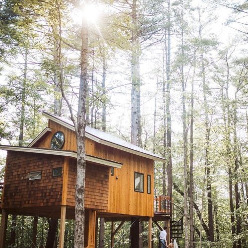 A wooden treehouse nestled among tall trees, with sunlight filtering through the leaves.