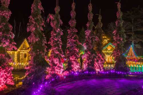 Colorful holiday lights illuminate trees and charming houses in a festive nighttime scene.