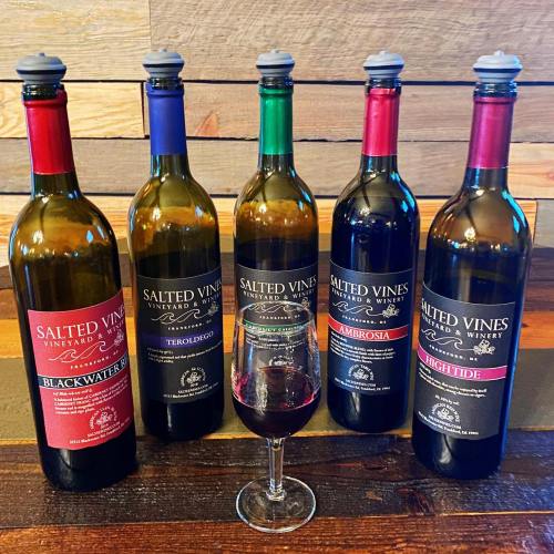Five wine bottles from Salted Vines Vineyard, with a glass of red wine in front, set against a wooden background.