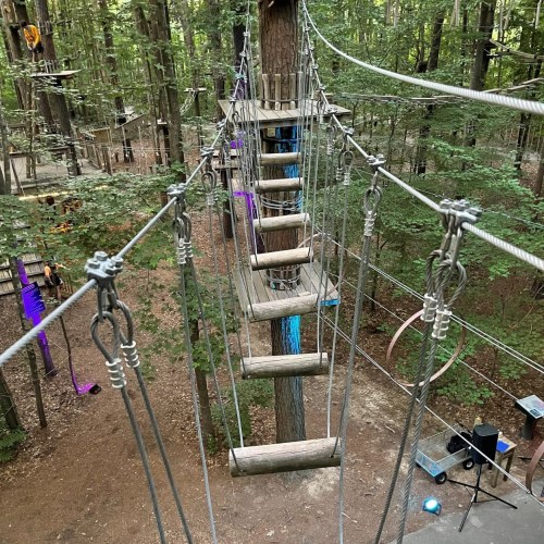 A high ropes course with wooden planks suspended between trees in a forested area.