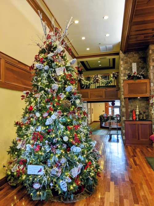 A beautifully decorated Christmas tree with lights and ornaments in a cozy, festive interior setting.