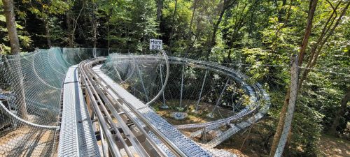 A winding roller coaster track surrounded by trees, with a sign reading "Here We Go!" in the background.
