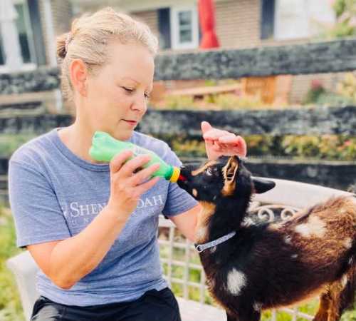 A woman feeds a baby goat with a bottle while gently petting its head, sitting on a bench outdoors.