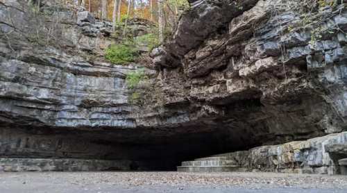 A rocky cave entrance surrounded by trees, with stone steps leading into the dark interior.