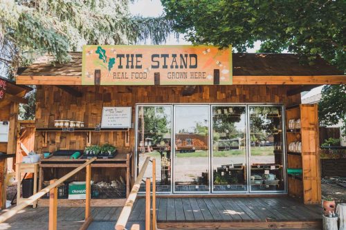 A wooden stand with a sign reading "The Stand" offering fresh food, surrounded by trees and outdoor seating.