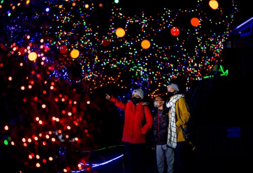 Three people in winter attire admire colorful holiday lights at night, surrounded by vibrant decorations.