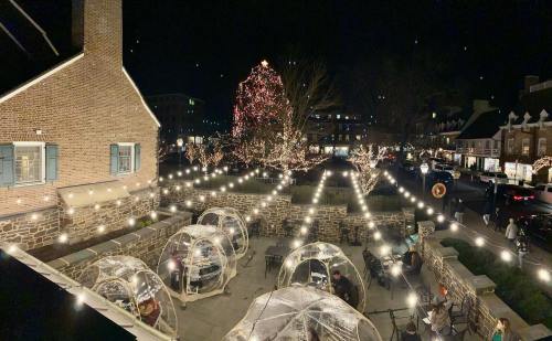 A festive outdoor dining area with clear igloos, string lights, and a large decorated tree at night.