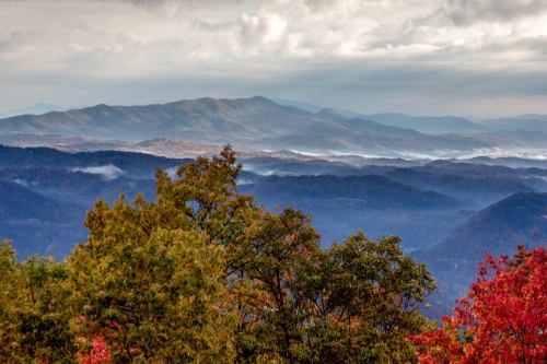 A scenic view of misty mountains with colorful autumn foliage in the foreground under a cloudy sky.