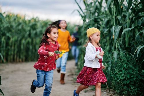 Two young girls run joyfully through a cornfield, wearing colorful outfits, with another child in the background.