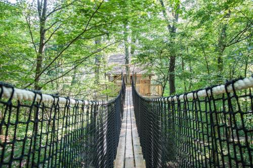 A narrow rope bridge leads through lush greenery to a wooden structure in the distance.