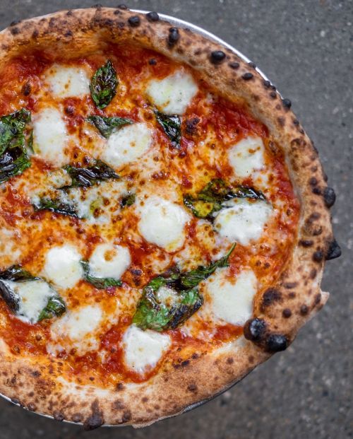 A freshly baked Margherita pizza topped with mozzarella, basil, and a rich tomato sauce on a charred crust.