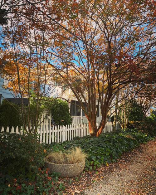 A picturesque scene of a home with autumn foliage, a white picket fence, and a garden path lined with plants.