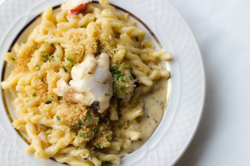 A plate of creamy pasta topped with lobster, breadcrumbs, and herbs, served on a white dish.