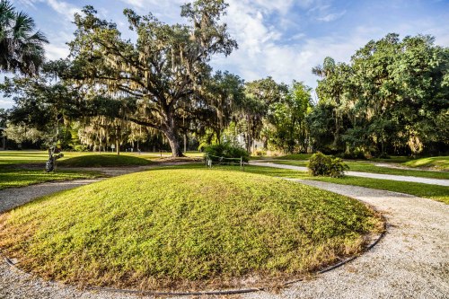 A lush green landscape with a large tree, moss hanging from branches, and a winding gravel path.