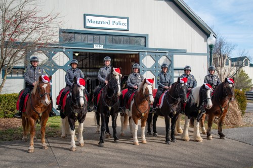 A group of mounted police officers in festive hats pose in front of a stable, with their horses also adorned for the season.