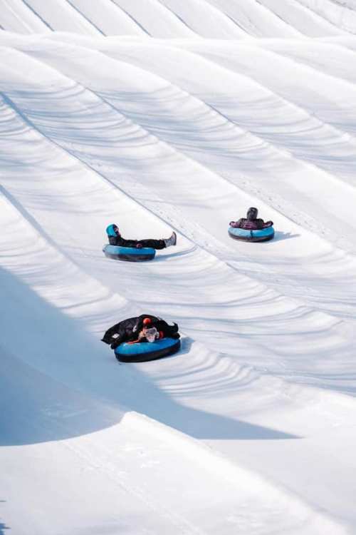 Three people sledding down snowy hills on inflatable tubes, surrounded by smooth, white snow.