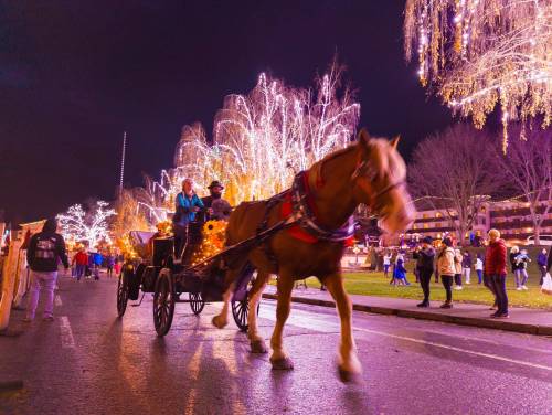 A horse-drawn carriage moves through a festive street illuminated by colorful lights and decorations at night.