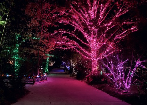 A pathway illuminated by vibrant pink and green lights, surrounded by trees and festive decorations at night.