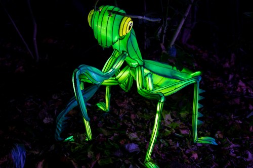 A vibrant green illuminated mantis sculpture stands among dark foliage, showcasing intricate details and glowing features.