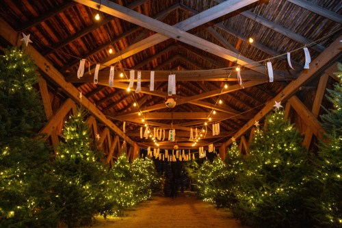 A cozy, illuminated barn with Christmas trees, string lights, and festive decorations hanging from the wooden beams.