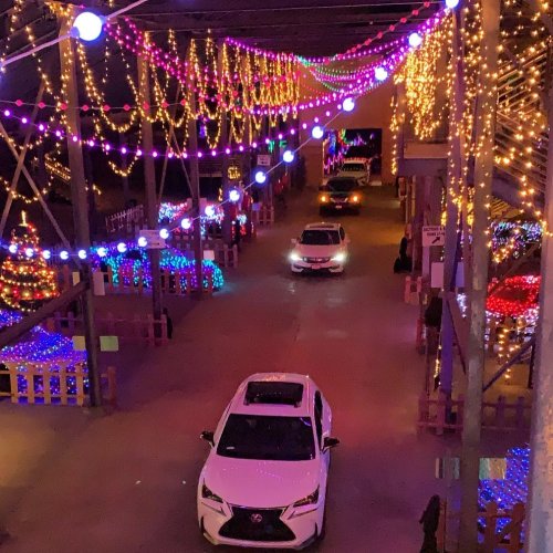 A festive street adorned with colorful lights and decorations, with cars driving through a vibrant display.