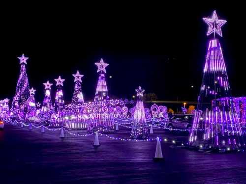 A festive display of illuminated purple Christmas trees and stars against a dark night sky.