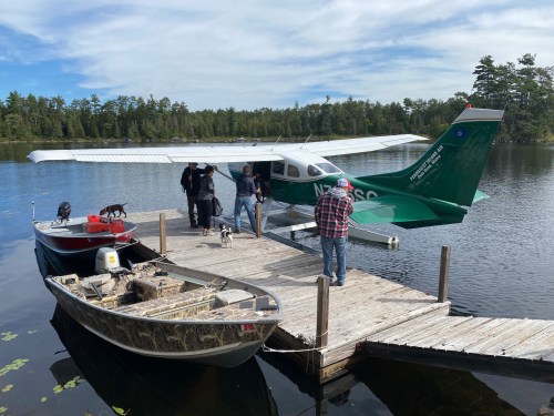 A seaplane is docked by a wooden pier, with people and dogs near a boat on a calm lake surrounded by trees.