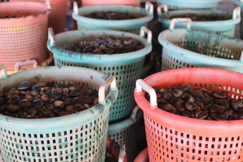 Baskets filled with clams, stacked in various colors, at a seafood market.