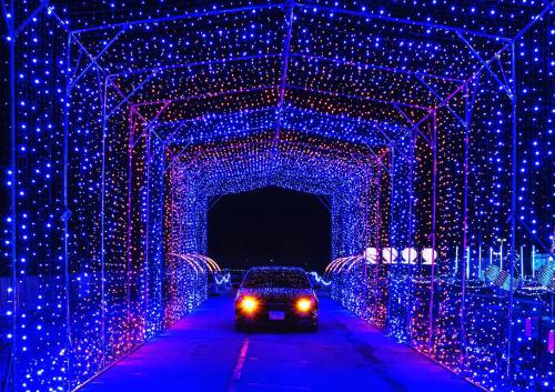 A car drives through a vibrant tunnel of blue and purple holiday lights.