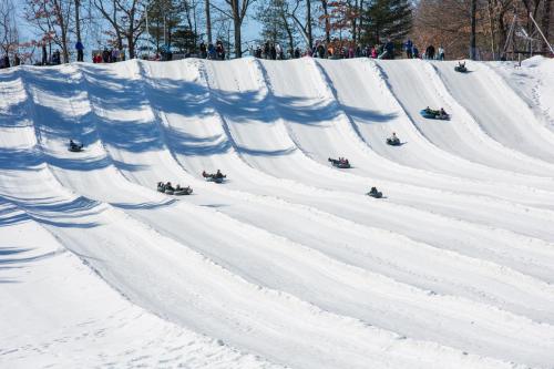 A snowy hill with people sledding down, surrounded by trees and a crowd watching from the top.