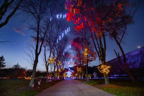 A pathway lined with trees adorned with colorful lights, creating a festive atmosphere at dusk.