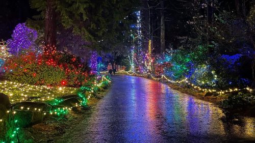 A colorful, illuminated pathway lined with festive lights, reflecting on a wet surface in a serene outdoor setting.