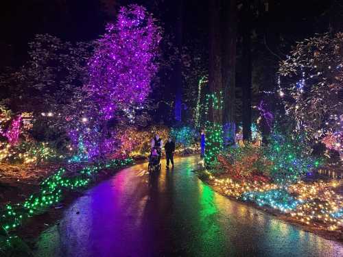 A pathway illuminated by colorful lights, with people walking and a stroller, surrounded by trees at night.