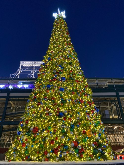 A brightly lit Christmas tree adorned with colorful ornaments, set against a dark evening sky.