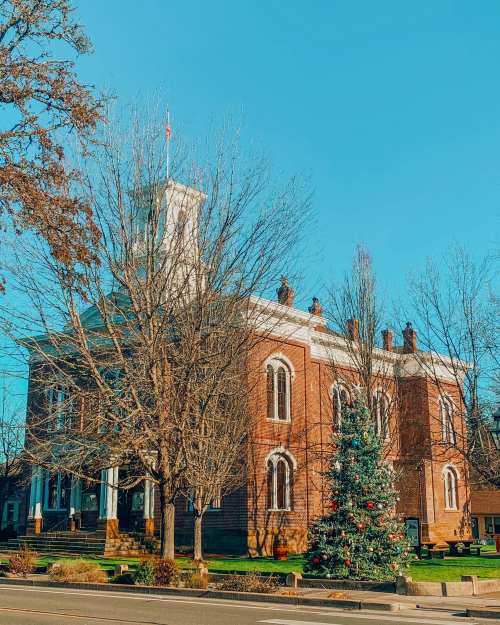Historic building with a clock tower, surrounded by bare trees and a decorated Christmas tree in front. Clear blue sky.