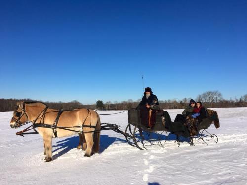 A horse-drawn sleigh in a snowy landscape, with two people seated in the sleigh under a clear blue sky.