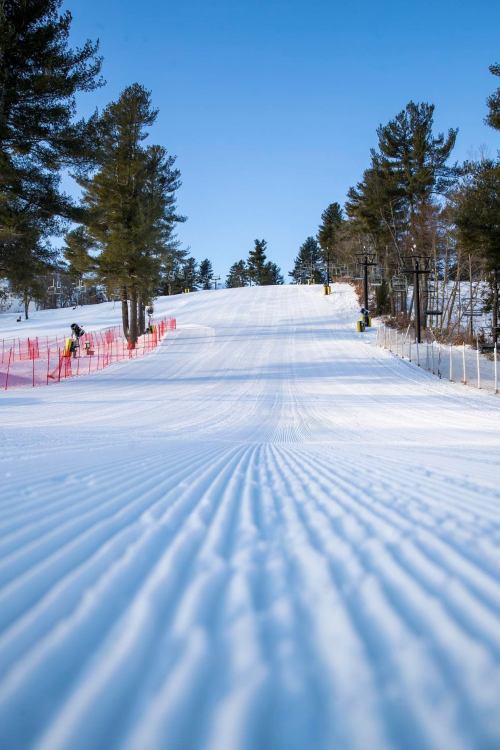 A snow-covered ski slope lined with trees, featuring freshly groomed tracks under a clear blue sky.