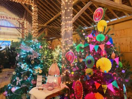 Colorful Christmas trees adorned with lights and decorations in a festive barn setting.