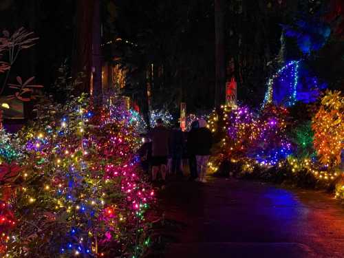 A pathway illuminated by colorful lights, surrounded by trees and plants, with people walking in the distance.