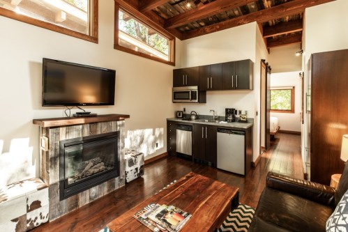 Cozy living area with a TV, kitchenette, and fireplace, featuring wooden beams and large windows for natural light.