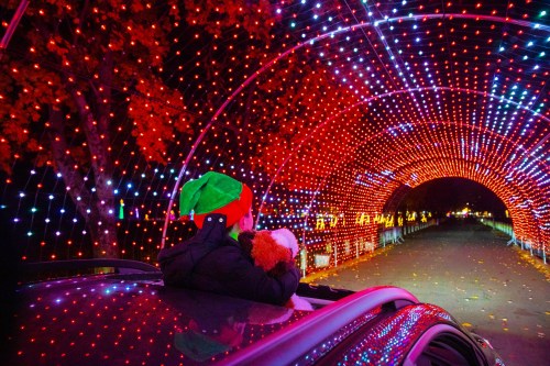 A child in a festive hat holds a stuffed animal, gazing at a colorful light tunnel from a car roof.