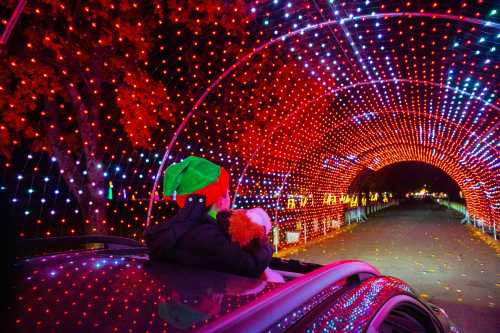 A child in a festive hat holds a stuffed animal, gazing at a colorful light tunnel from a car roof.