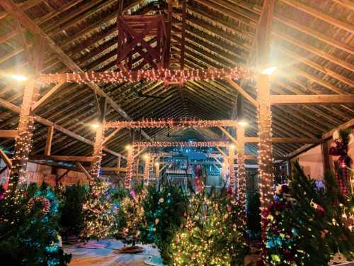 A festive barn decorated with twinkling lights and Christmas trees, creating a warm holiday atmosphere.