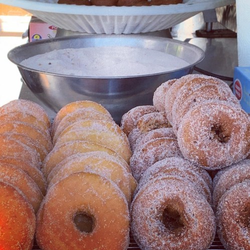 A display of freshly made donuts, some coated in sugar, arranged neatly on a tray.