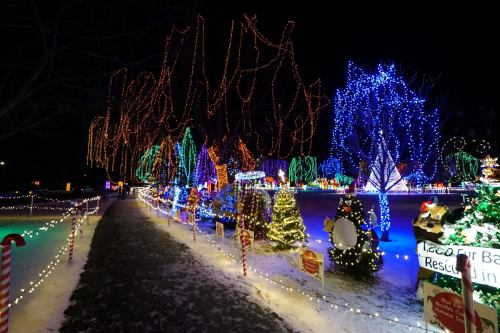 A festive display of colorful holiday lights illuminating trees and decorations along a snowy pathway at night.