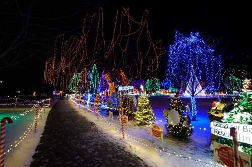 A festive display of colorful holiday lights illuminating trees and decorations along a snowy pathway at night.