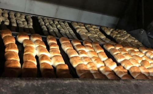 Rows of freshly baked bread rolls cooling on racks in a bakery.