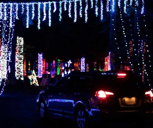 A car parked under colorful holiday lights in a festive nighttime display.