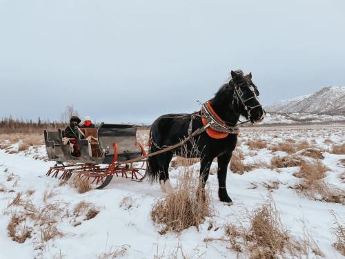 A black horse pulls a sleigh through a snowy landscape, with a person seated inside the sleigh. Mountains in the background.