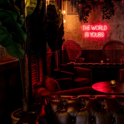 A cozy interior with plants, red neon sign reading "THE WORLD IS YOURS," and comfortable seating.